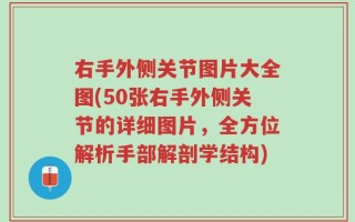 右手外侧关节图片大全图(50张右手外侧关节的详细图片，全方位解析手部解剖学结构)
