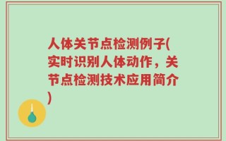 人体关节点检测例子(实时识别人体动作，关节点检测技术应用简介)