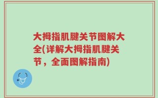 大拇指肌腱关节图解大全(详解大拇指肌腱关节，全面图解指南)