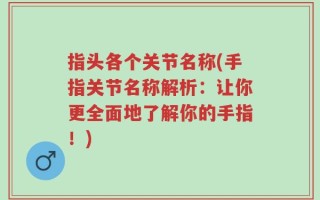 指头各个关节名称(手指关节名称解析：让你更全面地了解你的手指！)