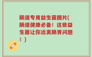 肠道专用益生菌图片(肠道健康必备！这些益生菌让你远离肠胃问题！)
