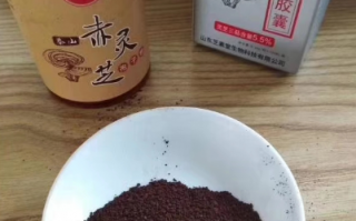 破壁灵芝孢子粉对女性的好处都有哪些？
