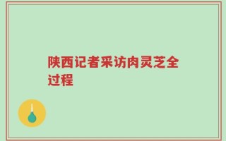 陕西记者采访肉灵芝全过程