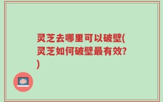 灵芝去哪里可以破壁(灵芝如何破壁最有效？)