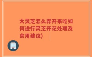 大灵芝怎么弄开来吃如何进行灵芝开花处理及食用建议)