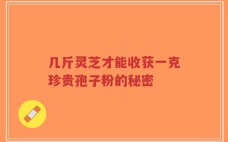 几斤灵芝才能收获一克珍贵孢子粉的秘密