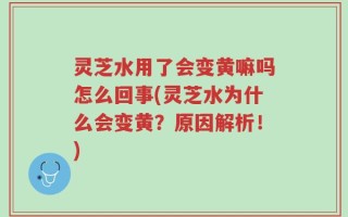 灵芝水用了会变黄嘛吗怎么回事(灵芝水为什么会变黄？原因解析！)