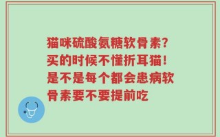 猫咪硫酸氨糖软骨素？买的时候不懂折耳猫！是不是每个都会患病软骨素要不要提前吃