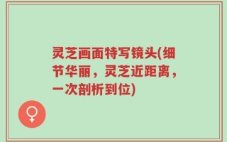 灵芝画面特写镜头(细节华丽，灵芝近距离，一次剖析到位)