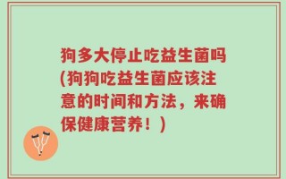 狗多大停止吃益生菌吗(狗狗吃益生菌应该注意的时间和方法，来确保健康营养！)