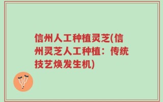 信州人工种植灵芝(信州灵芝人工种植：传统技艺焕发生机)