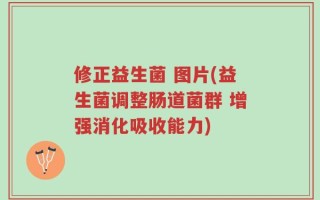修正益生菌 图片(益生菌调整肠道菌群 增强消化吸收能力)