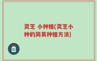 灵芝 小种植(灵芝小种的简易种植方法)