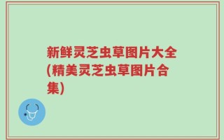 新鲜灵芝虫草图片大全(精美灵芝虫草图片合集)