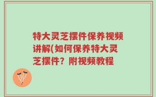 特大灵芝摆件保养视频讲解(如何保养特大灵芝摆件？附视频教程