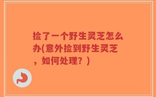 捡了一个野生灵芝怎么办(意外捡到野生灵芝，如何处理？)