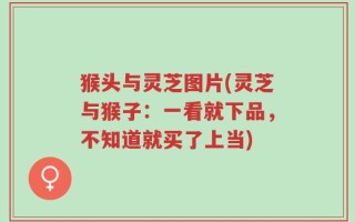 猴头与灵芝图片(灵芝与猴子：一看就下品，不知道就买了上当)