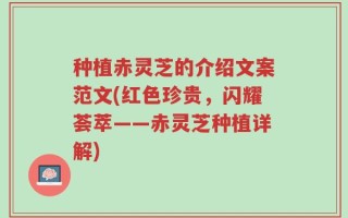 种植赤灵芝的介绍文案范文(红色珍贵，闪耀荟萃——赤灵芝种植详解)