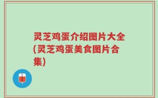 灵芝鸡蛋介绍图片大全(灵芝鸡蛋美食图片合集)