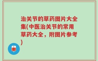 治关节的草药图片大全集(中医治关节的常用草药大全，附图片参考)