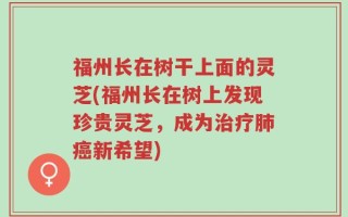 福州长在树干上面的灵芝(福州长在树上发现珍贵灵芝，成为治疗肺癌新希望)