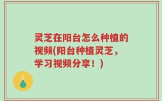 灵芝在阳台怎么种植的视频(阳台种植灵芝，学习视频分享！)