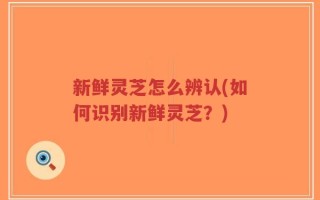 新鲜灵芝怎么辨认(如何识别新鲜灵芝？)