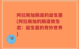 阿拉斯加肠道的益生菌(阿拉斯加的肠道微生态：益生菌的奇妙世界)