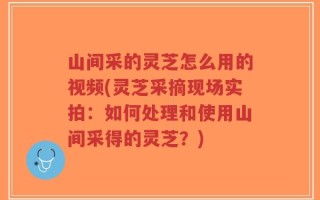 山间采的灵芝怎么用的视频(灵芝采摘现场实拍：如何处理和使用山间采得的灵芝？)