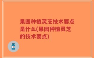 果园种植灵芝技术要点是什么(果园种植灵芝的技术要点)