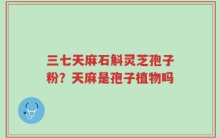 三七天麻石斛灵芝孢子粉？天麻是孢子植物吗