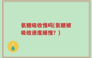 氨糖吸收慢吗(氨糖被吸收速度缓慢？)