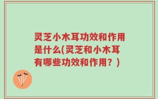 灵芝小木耳功效和作用是什么(灵芝和小木耳有哪些功效和作用？)