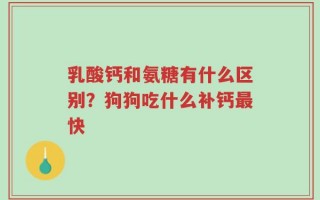 乳酸钙和氨糖有什么区别？狗狗吃什么补钙最快