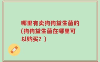 哪里有卖狗狗益生菌的(狗狗益生菌在哪里可以购买？)