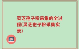 灵芝孢子粉采集的全过程(灵芝孢子粉采集实录)