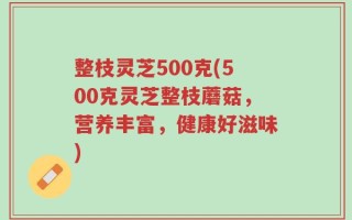 整枝灵芝500克(500克灵芝整枝蘑菇，营养丰富，健康好滋味)