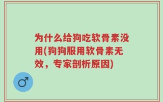 为什么给狗吃软骨素没用(狗狗服用软骨素无效，专家剖析原因)