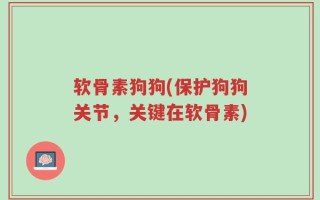 软骨素狗狗(保护狗狗关节，关键在软骨素)