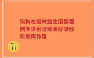 狗狗吃饭时益生菌需要倒多少水才能更好吸收和发挥作用