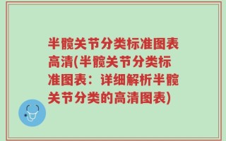 半髋关节分类标准图表高清(半髋关节分类标准图表：详细解析半髋关节分类的高清图表)