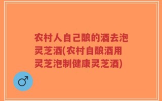 农村人自己酿的酒去泡灵芝酒(农村自酿酒用灵芝泡制健康灵芝酒)