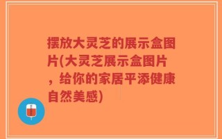 摆放大灵芝的展示盒图片(大灵芝展示盒图片，给你的家居平添健康自然美感)