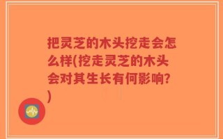 把灵芝的木头挖走会怎么样(挖走灵芝的木头会对其生长有何影响？)