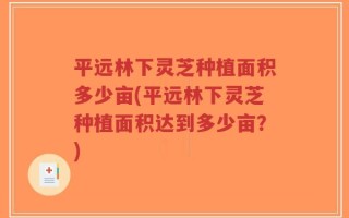 平远林下灵芝种植面积多少亩(平远林下灵芝种植面积达到多少亩？)