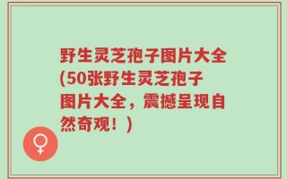 野生灵芝孢子图片大全(50张野生灵芝孢子图片大全，震撼呈现自然奇观！)
