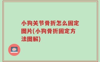 小狗关节骨折怎么固定图片(小狗骨折固定方法图解)
