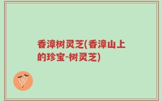 香漳树灵芝(香漳山上的珍宝-树灵芝)