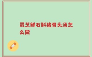 灵芝鲜石斛猪骨头汤怎么做