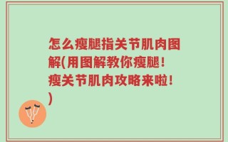 怎么瘦腿指关节肌肉图解(用图解教你瘦腿！瘦关节肌肉攻略来啦！)